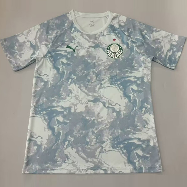 2026-27 Palmeiras Grey Green Training shirts
