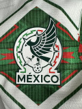 2026-27 Mexico White Green Special Edition Fans Training shirts
