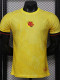 2026-27 Colombia Yellow Special Edition Player Version Training shirts (逗号)