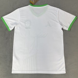 2026-27 Brazil White Special Edition Training shirts (JD标女神)