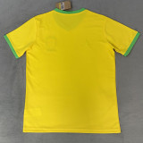 2026-27 Brazil Yellow Special Edition Training shirts (JD标)