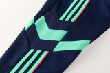 2026 AD Royal blue Jacket Tracksuit #AJ26