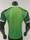 2026-27 Nigeria Home Player Version Soccer Jersey