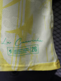 2026-27 Brazil Yellow Special Edition Player Version Training shirts (逗号)