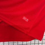 2026-27 Denmark Home Fans Soccer Jersey