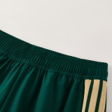 2025-26 Italy Green Windbreaker Suit (Hoodie)(风衣套装)