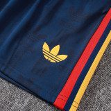 2026-27 Spain Royal blue Player Version Training Short Suit (球员短套装)#D2604