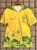 2026-27 Brazil Yellow Special Edition Training shirts 花图