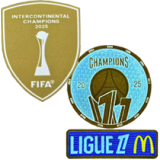 2025-26 PSG Brown Special Edition Player Version Training shirts (D)