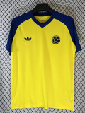 2026-27 Colombia Yellow Training shirts