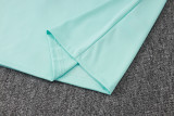 2026-27 Germany Light green Half Pull Tracksuit #B26040(半拉链)
