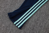2026-27 Germany Light green Half Pull Tracksuit #B26040(半拉链)