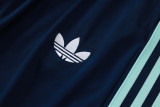 2026-27 Germany Light green Half Pull Tracksuit #B26040(半拉链)