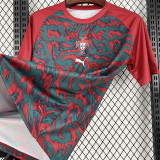2026-27 Portugal Red Fans Training shirts