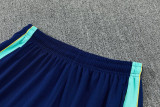 2026-27 Brazil Lake blue Training Short Suit