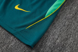 2026-27 Brazil Lake blue Tank top and shorts suit #D26030