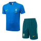 2026-27 Brazil Lake blue Training Short Suit #J26028