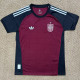 2026-27 Spain Brown Goalkeeper Fans Soccer Jersey