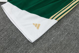 2026-27 Italy Green Tank top and shorts suit