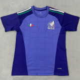 2026-27 Mexico Purple Blue Fans Goalkeeper Soccer Jersey
