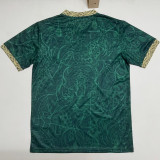 2026-27 Brazil Green Special Edition Fans Soccer Jersey (小鹦鹉标 )