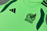 2026-27 Mexico Green Tank top and shorts suit