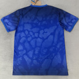 2026-27 Brazil Blue Special Edition Training shirts (飞人标)