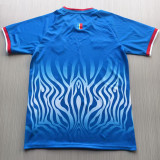 2026-27 DR Congo Home Fans Soccer Jersey