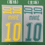 2026-27 Senegal Home Player Version Soccer Jersey