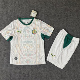 2026-27 Senegal Home Kids Soccer Jersey