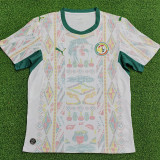 2026-27 Senegal Home Player Version Soccer Jersey