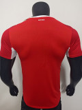 2026-27 Switzerland Home Player Version Soccer Jersey
