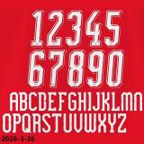 2026-27 Switzerland Home Fans Soccer Jersey
