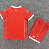2026-27 Tunisia Home Kids Soccer Jersey