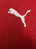 2026-27 Switzerland Home Player Version Soccer Jersey