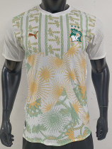 2026-27 Ivory Coast Away Player Version Soccer Jersey