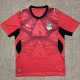 2026-27 Egypt Home Fans Soccer Jersey