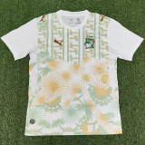 2026-27 Ivory Coast Away Fans Soccer Jersey