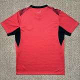 2026-27 Egypt Home Fans Soccer Jersey