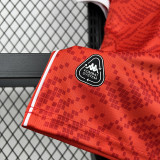 2026-27 Tunisia Home Fans Soccer Jersey
