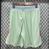 2026-27 France Away Player Version Shorts Pants (浅绿色)(球员短裤)