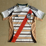 2026-27 Mexico Khaki White Special Edition Training shirts