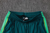 2026-27 Brazil Lake blue Half Pull Tracksuit #B26041(半拉链)