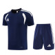 2026 AD14 Royal blue Training Short Suit