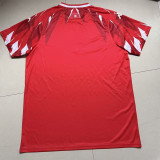 2026-27 Tunisia Home Fans Soccer Jersey