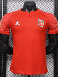 2026-27 Jordan Away Player Version Soccer Jersey