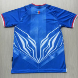 2026-27 DR Congo Home Fans Soccer Jersey