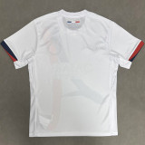 2025-26 PSG Away 2 Star Champions of Europe 26 Fans Soccer Jersey (Embroidered 刺绣2星)