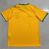 2026-27 Flamengo Yellow Special Edition Fans Soccer Jersey