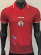 2026-27 Haiti Third Player Version Soccer Jersey